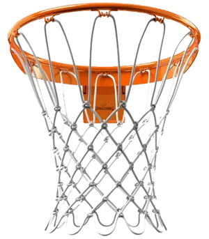 Flex Goal Basketball Rim