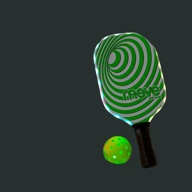 LED Pickleball Set with Carrying Bag