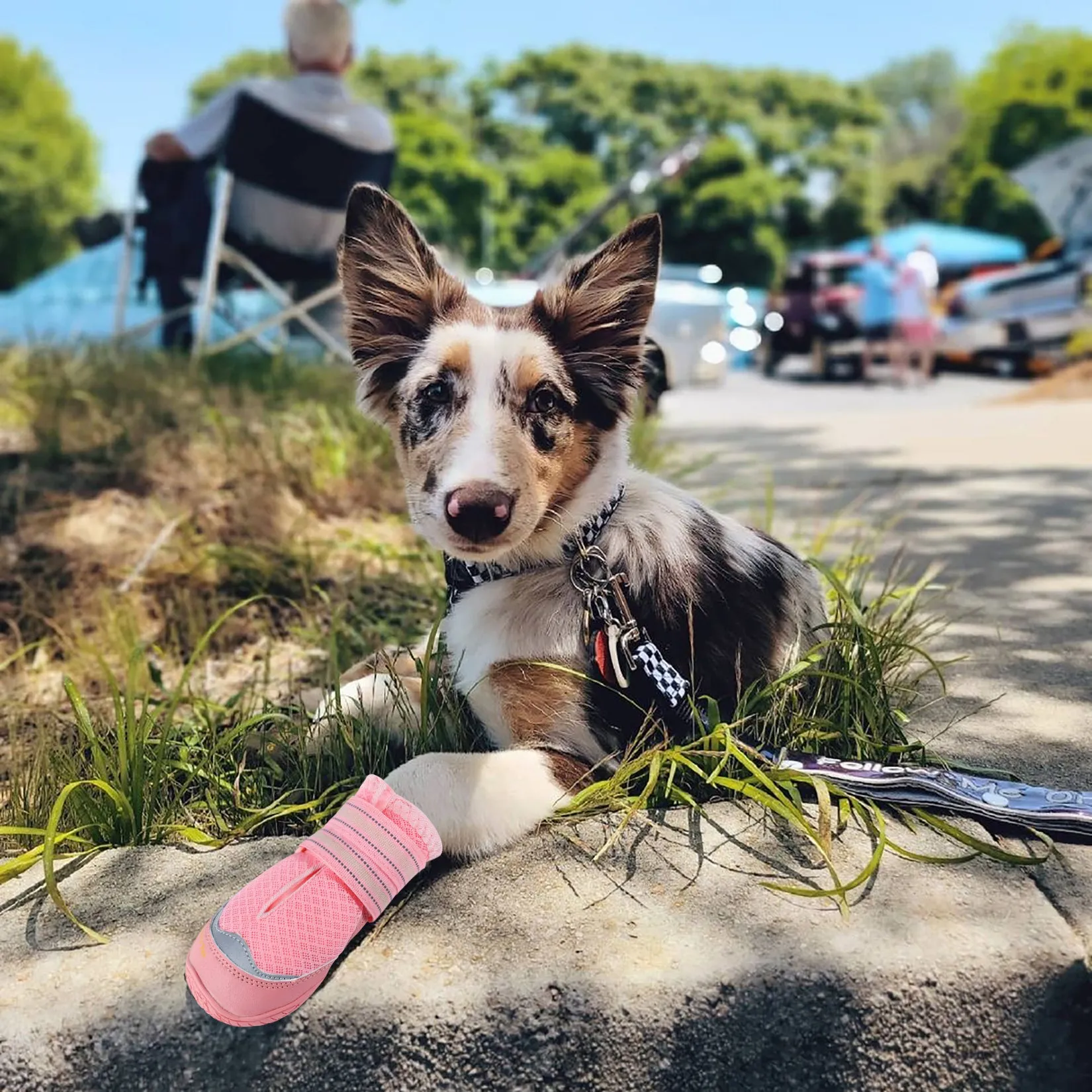 QUMY Dog Shoes for Hot Pavement 4PCS