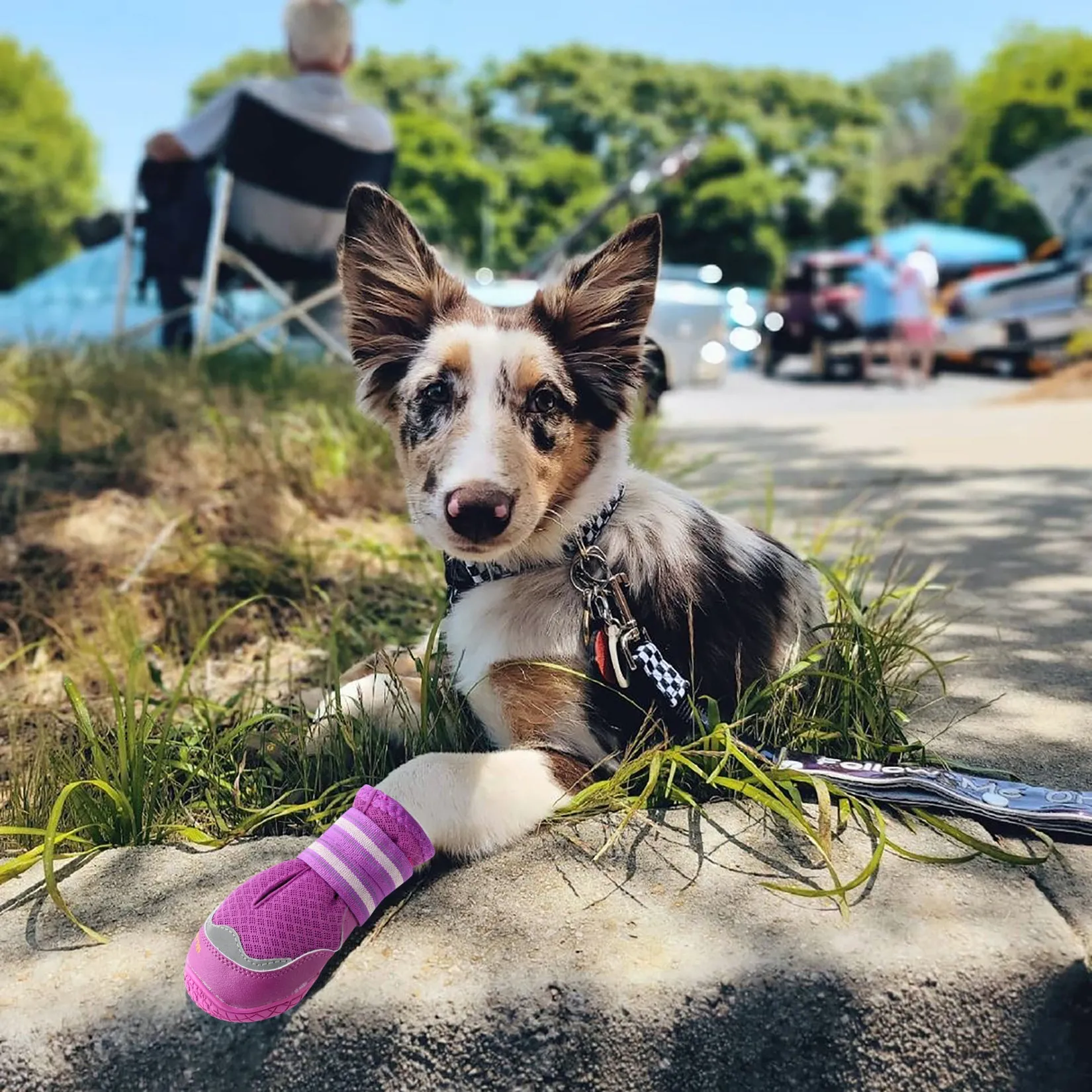 QUMY Dog Shoes for Hot Pavement 4PCS