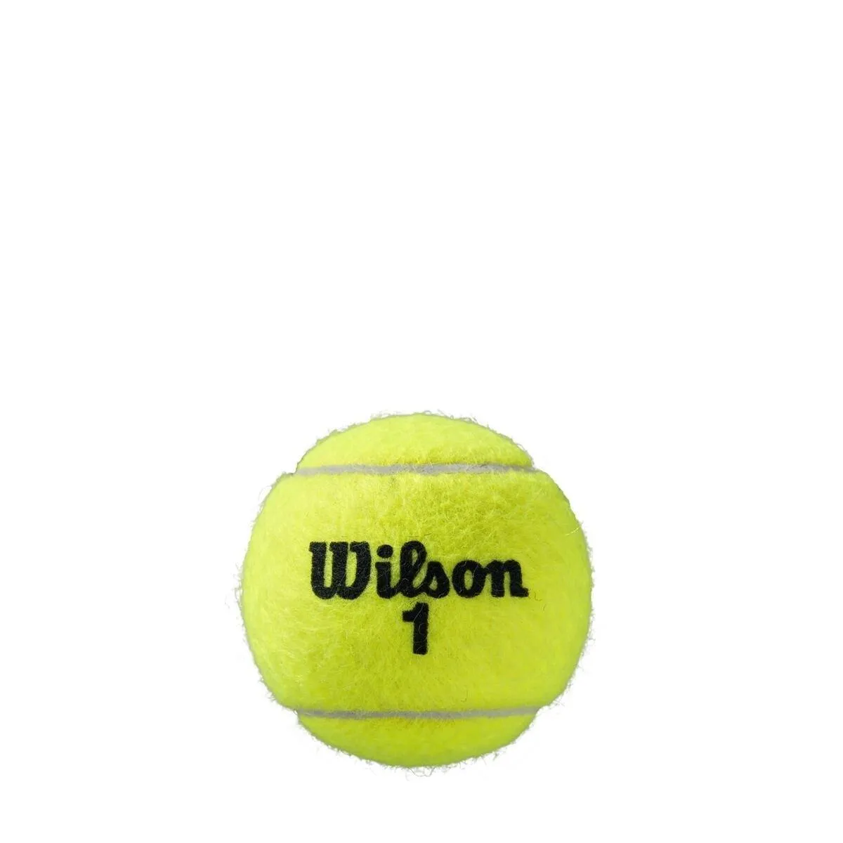 Wilson Roland Garros Tennis Balls Clay Court 3 Ball Can